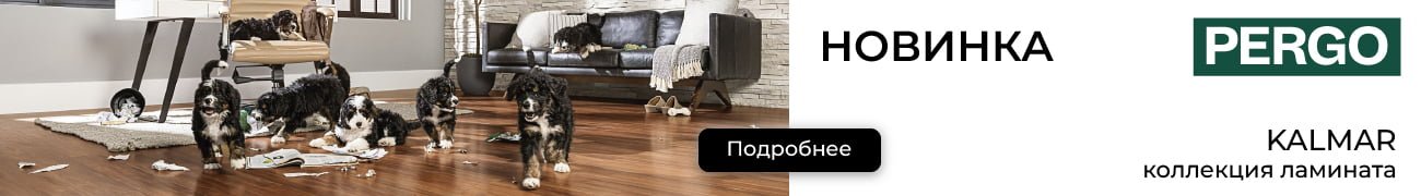 на_середину_главной_моб_100-INu3yMhs.jpg